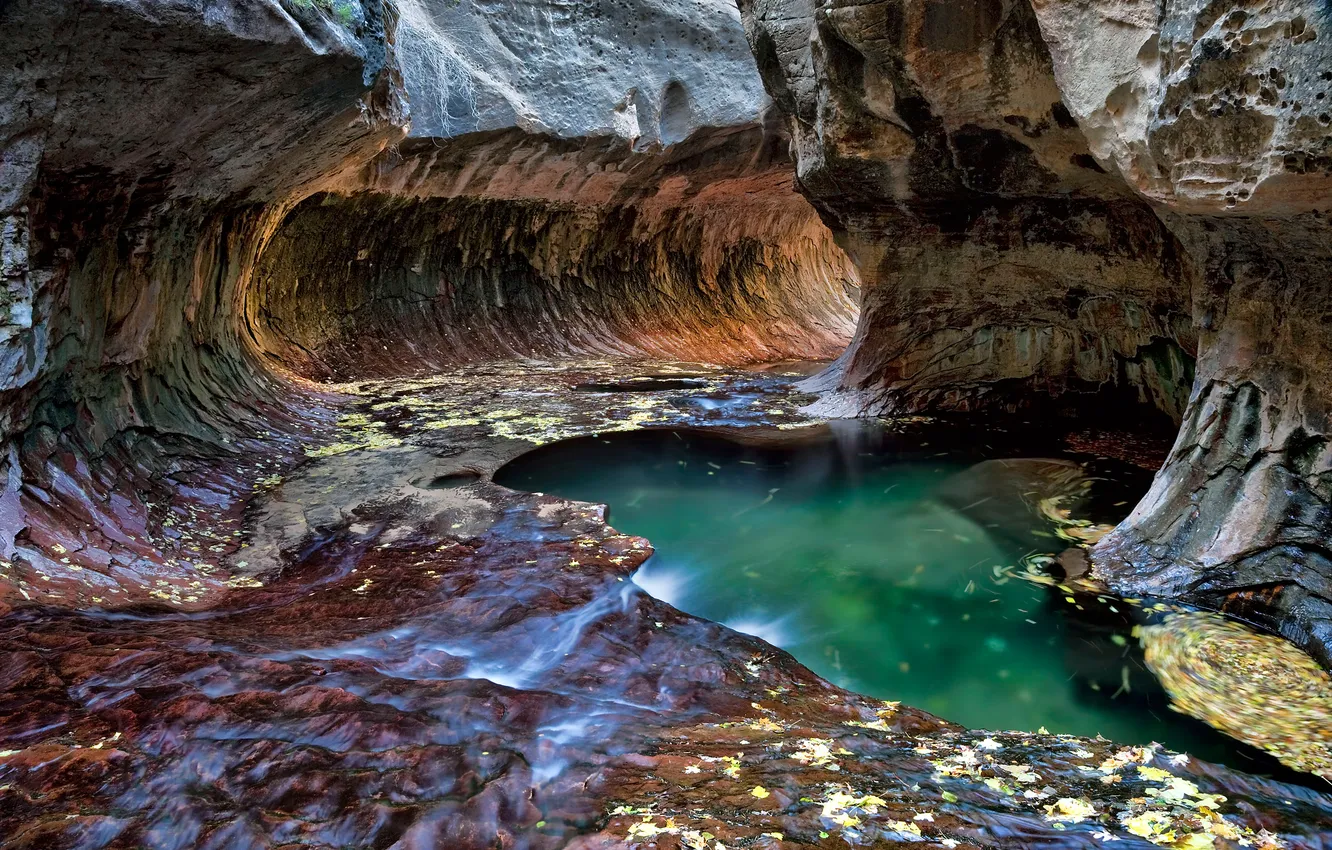 Photo wallpaper stream, rocks, Utah, USA, the tunnel, Zion National Park