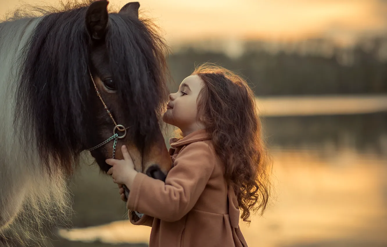 Photo wallpaper horse, friendship, girl