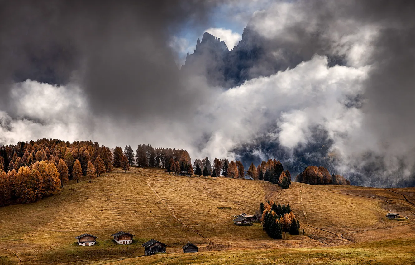Photo wallpaper field, autumn, forest, clouds, mountains, fog, hills, tops
