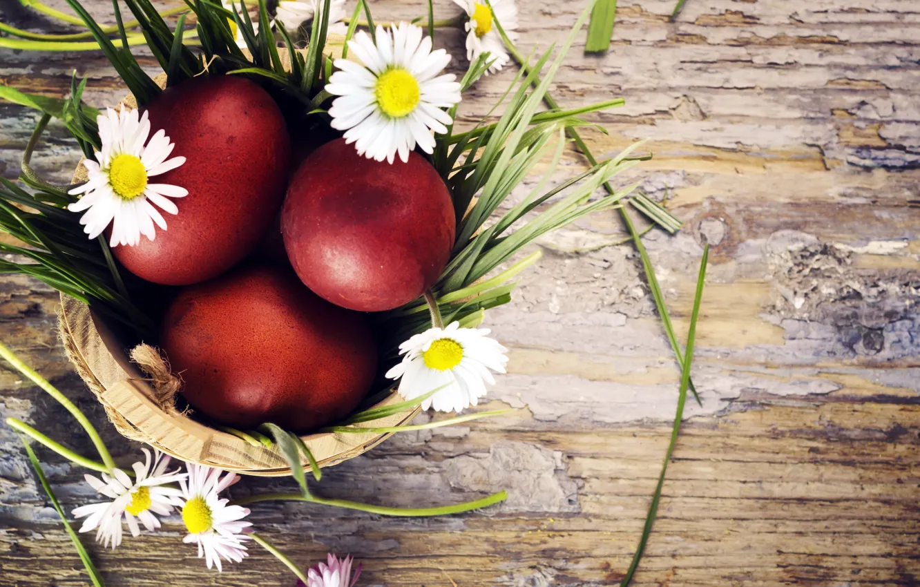 Photo wallpaper grass, flowers, holiday, Board, chamomile, eggs, Easter, Easter
