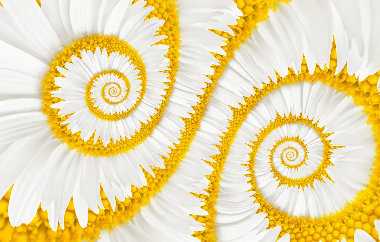 Photo wallpaper chamomile, the portal, kaleidoscope, white flower, mathematical progression