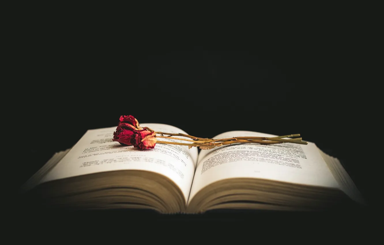 Photo wallpaper flowers, roses, book