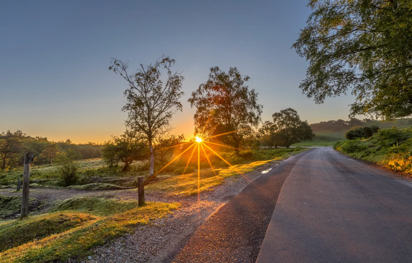 Photo wallpaper road, summer, the sun, rays, light, trees, sunset, highway