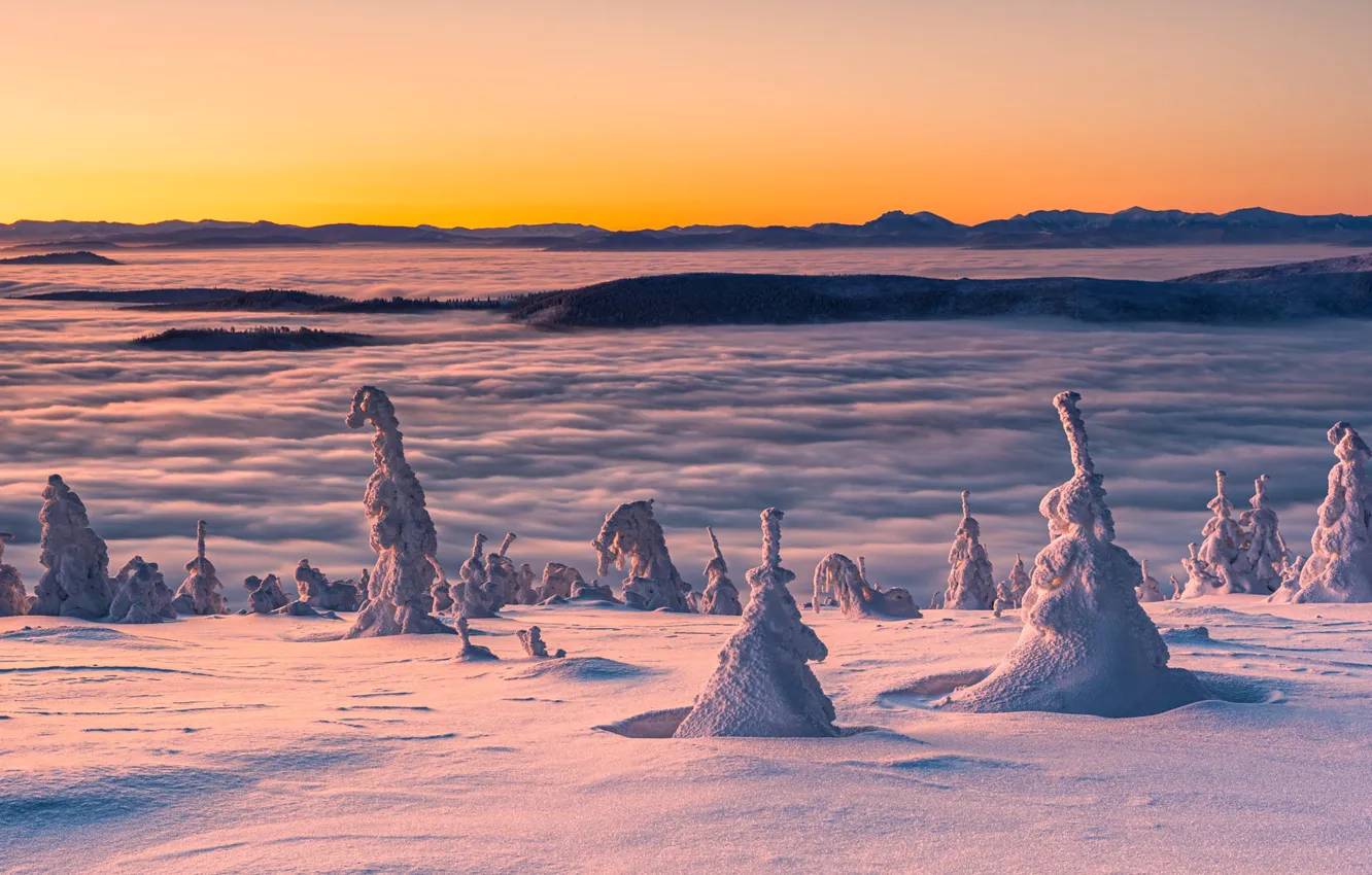 Photo wallpaper winter, forest, the sky, light, snow, mountains, fog, dawn