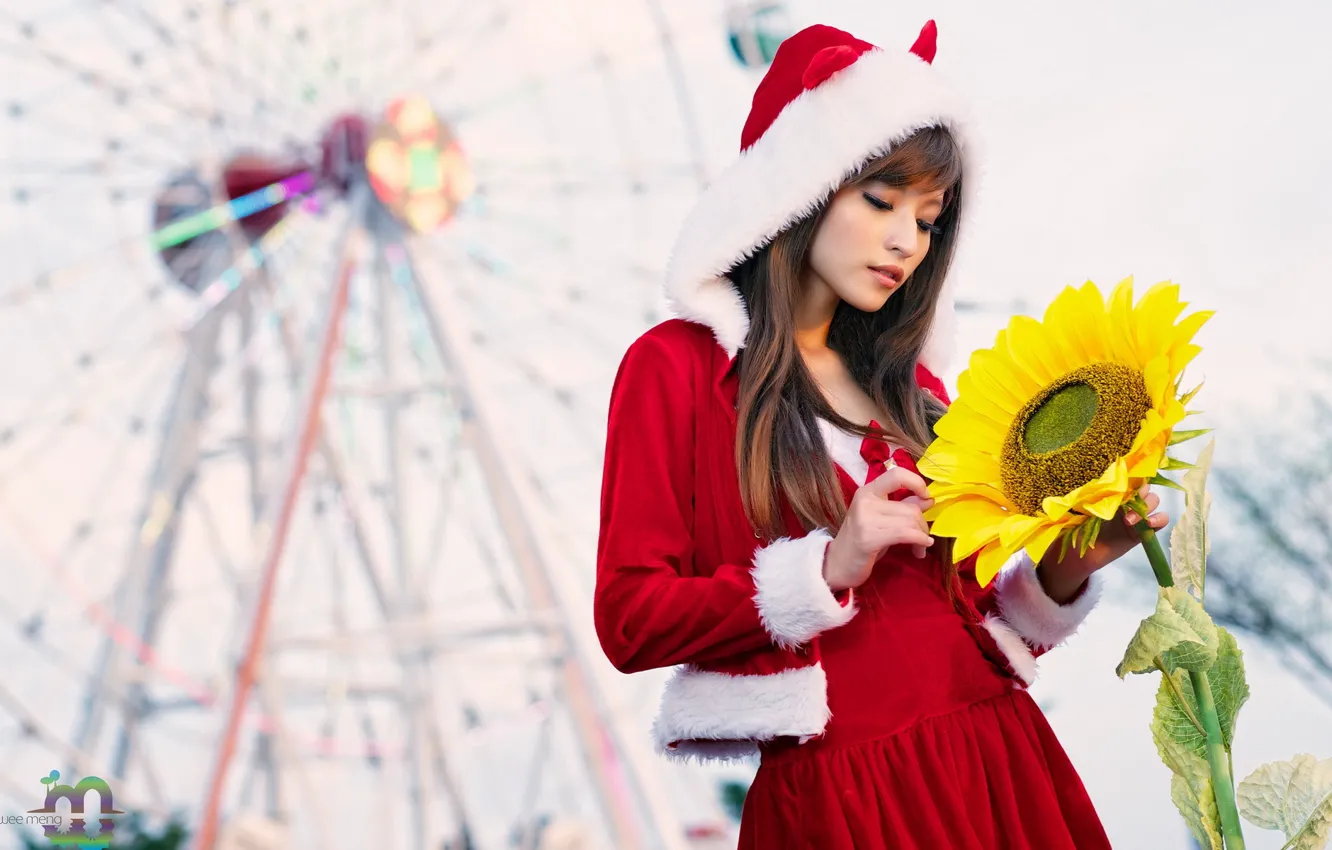 Photo wallpaper girl, sunflowers, Agnes Lim