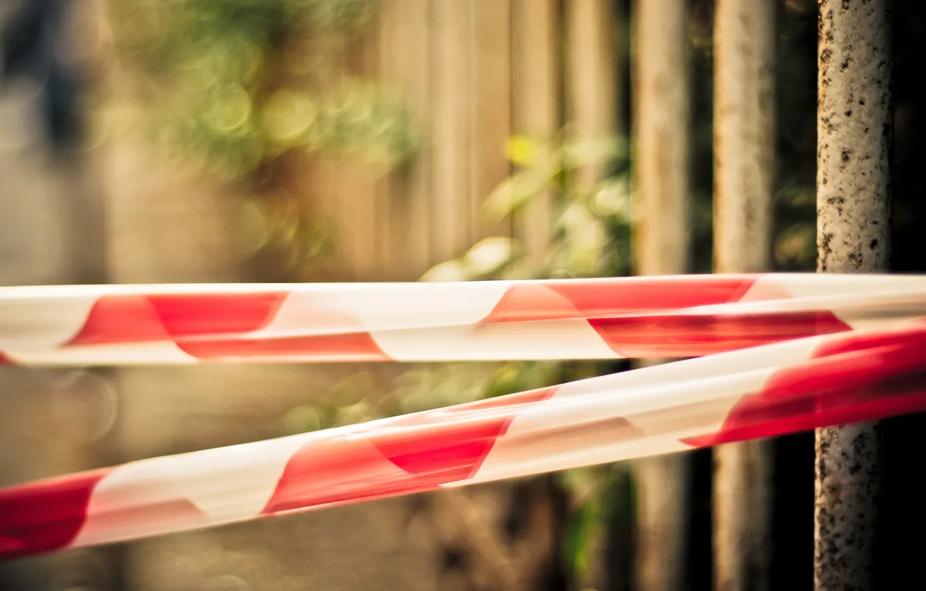 Photo wallpaper macro, strip, blur, tape