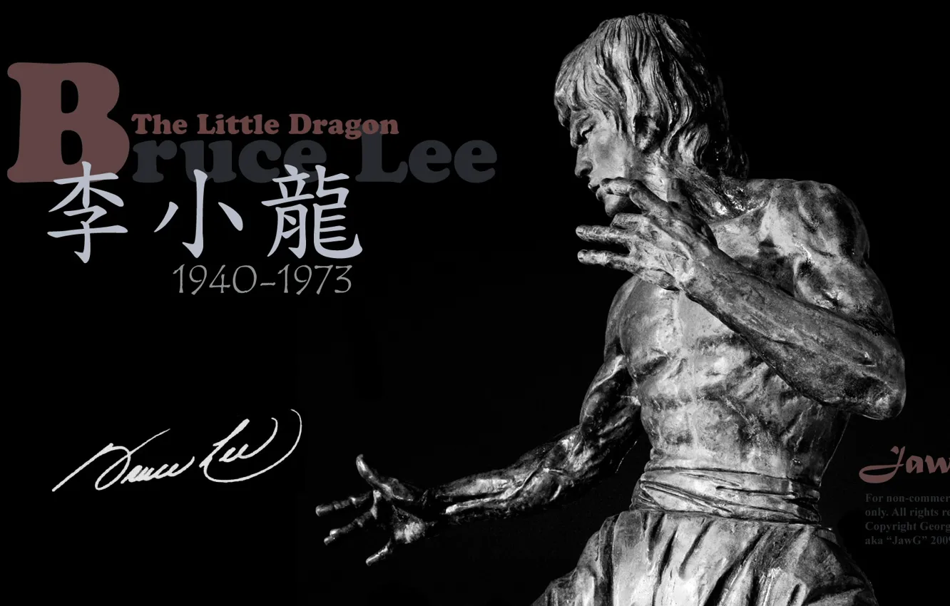 Photo wallpaper memory, statue, legend, Bruce Lee, bruce lee