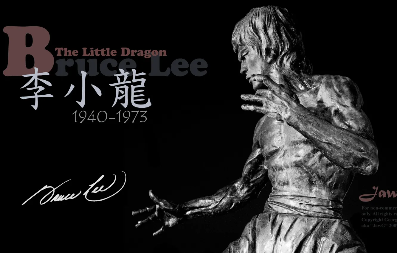 Photo wallpaper memory, statue, legend, Bruce Lee, Bruce Lee