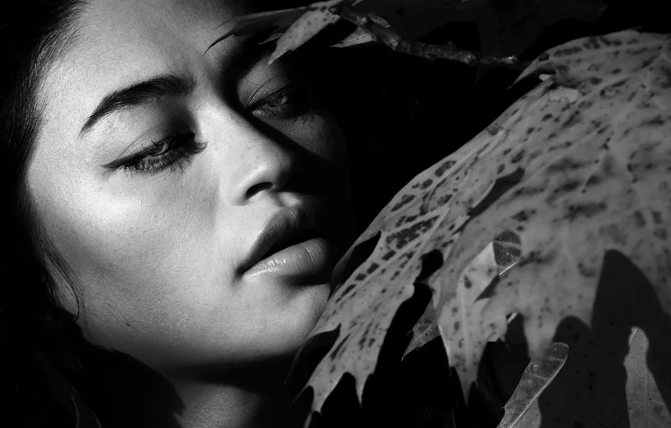 Photo wallpaper look, face, maple leaf