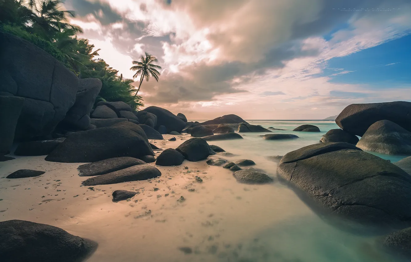Photo wallpaper sea, beach, summer, landscape, tropics, palm trees