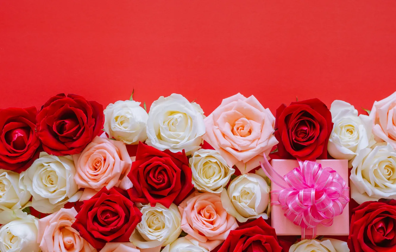 Photo wallpaper birthday, gift, roses, buds