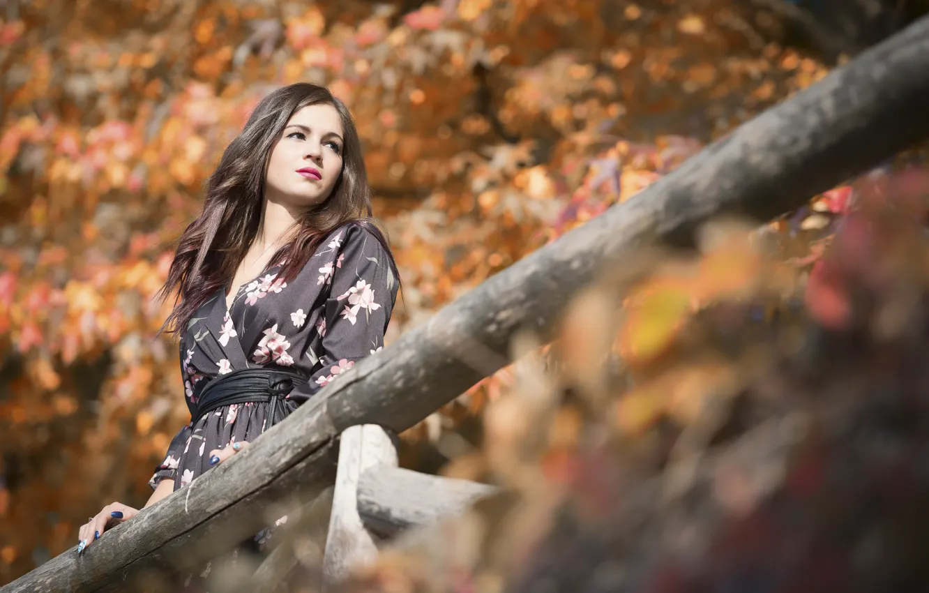 Photo wallpaper girl, face, background, Sara