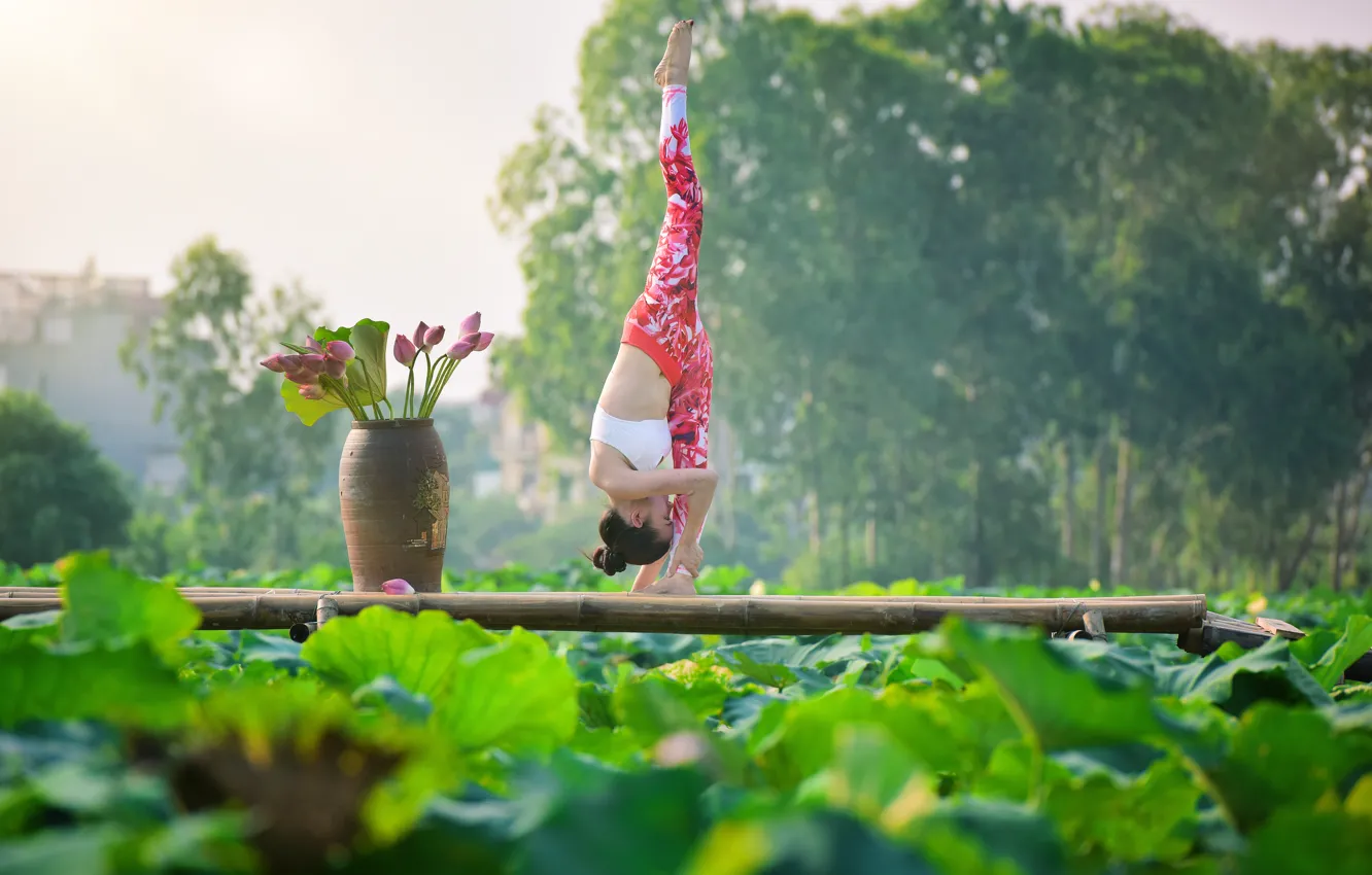 Photo wallpaper girl, gymnastics, yoga, Asian