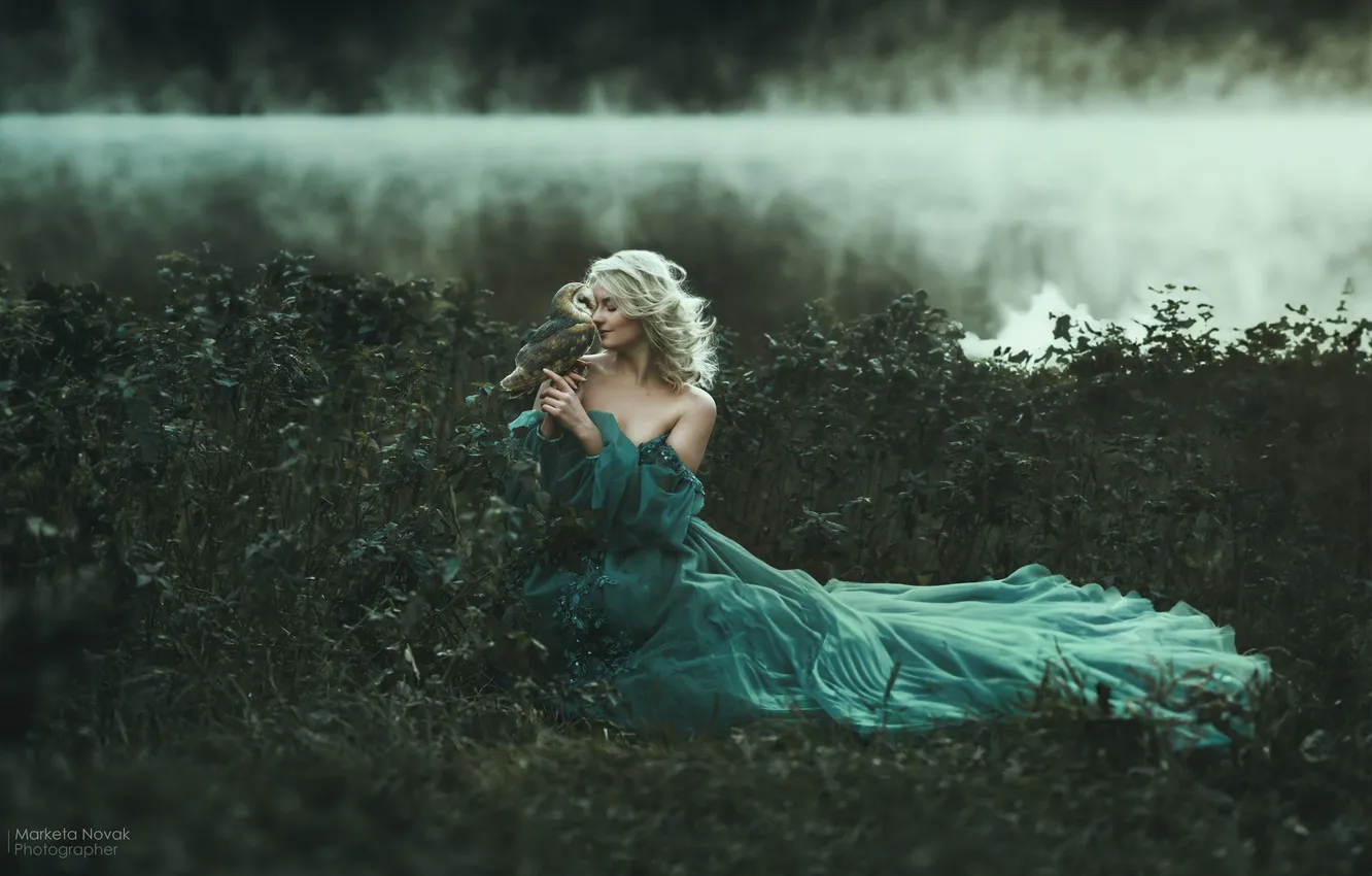 Photo wallpaper girl, pose, fog, river, owl, bird, hands, dress