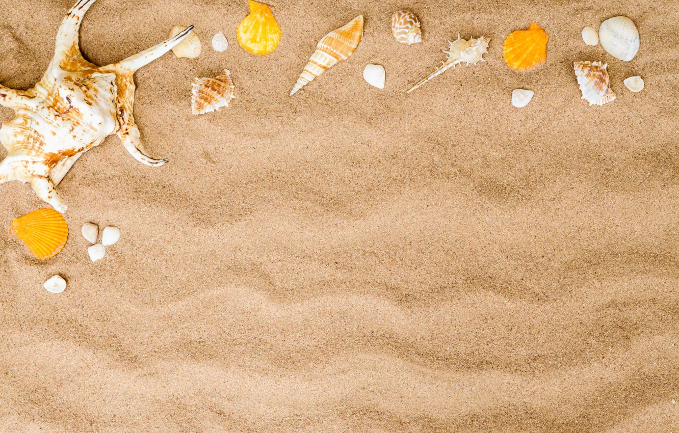 Photo wallpaper sand, beach, summer, shell, summer, beach, sea, sand