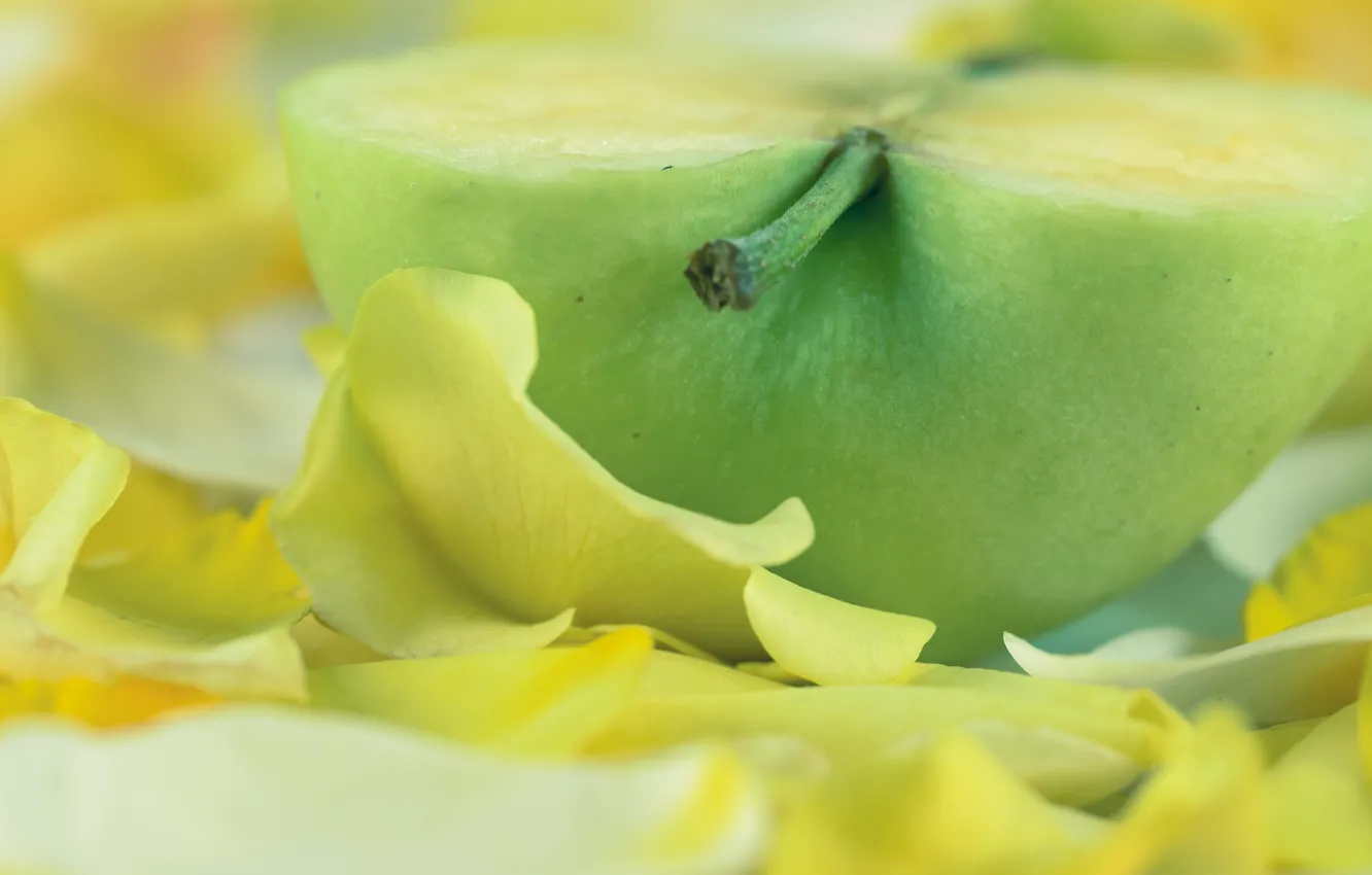 Photo wallpaper macro, flowers, yellow, green, half, apples, petals, bokeh