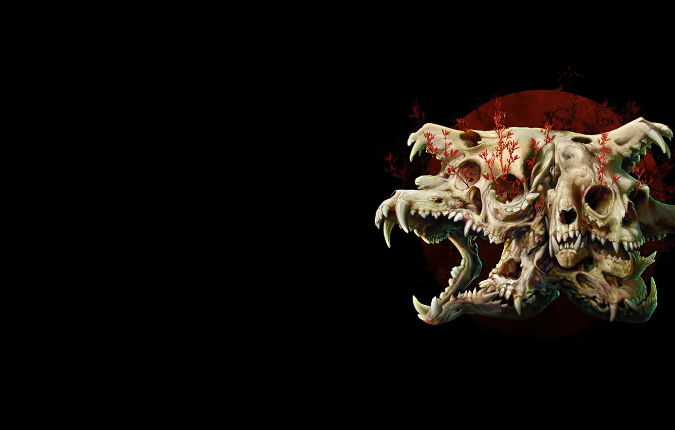 Photo wallpaper Rostock, skull, minimalism, art, blood Moon