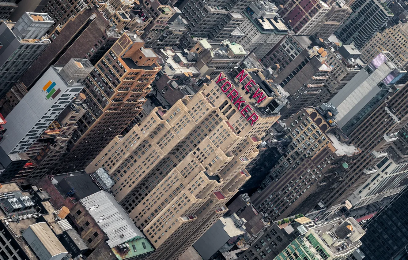 Photo wallpaper USA, New York, Manhattan, New Yorker