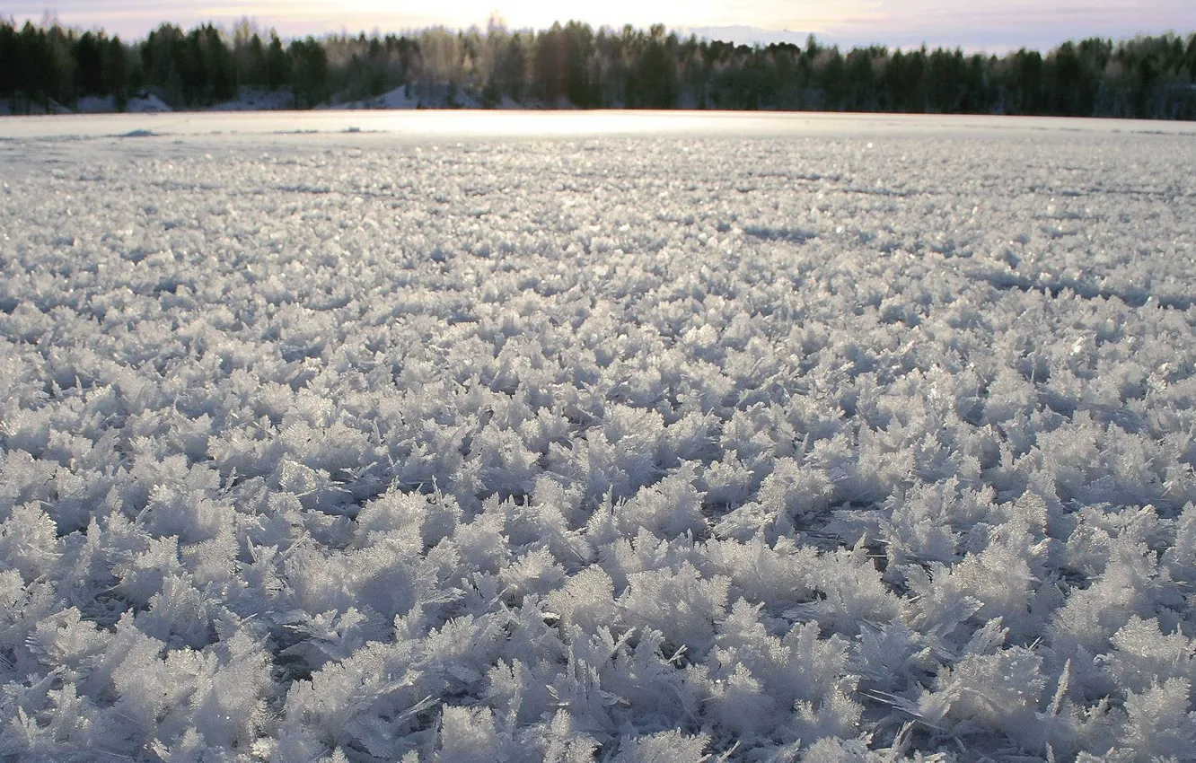 Photo wallpaper winter, snow, landscape