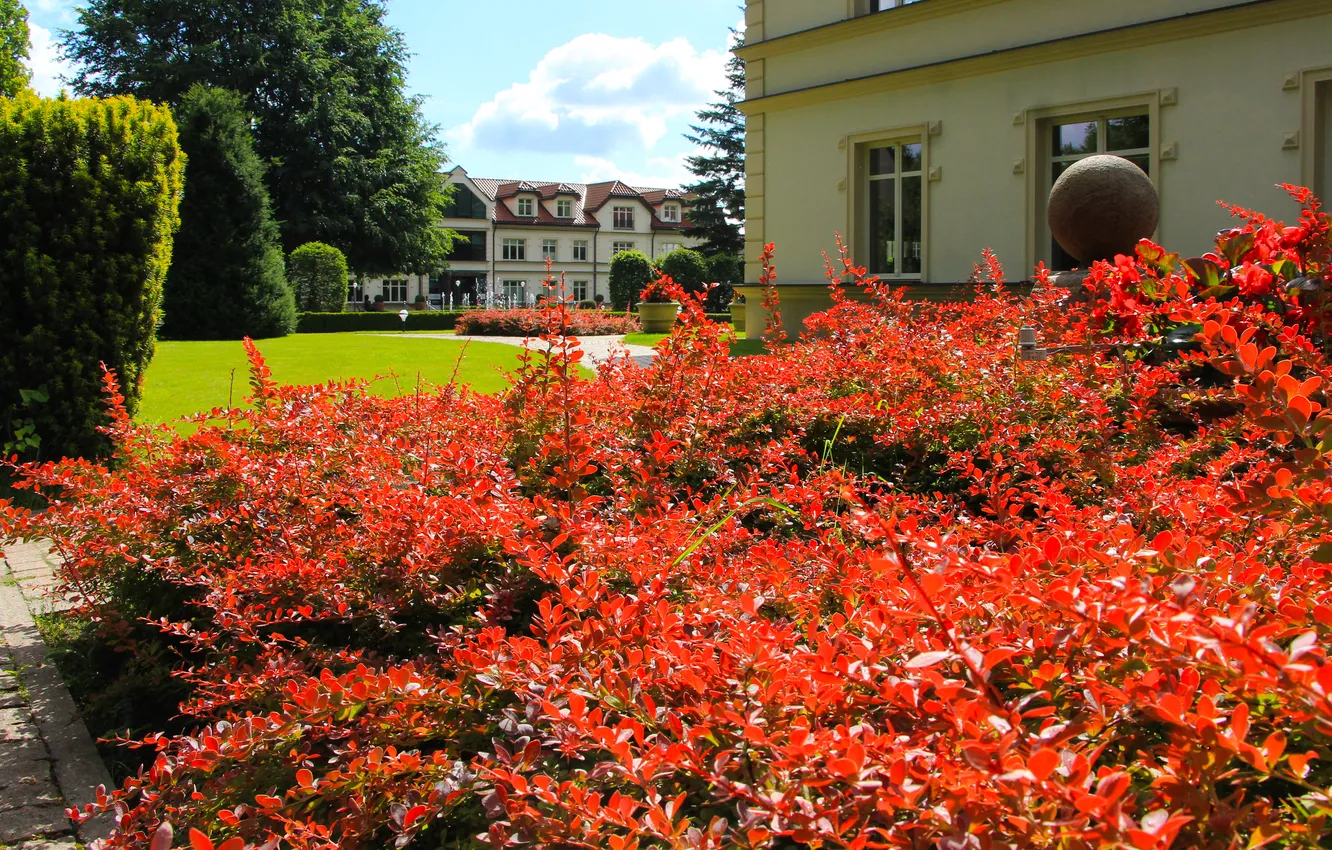 Photo wallpaper house, park, plant