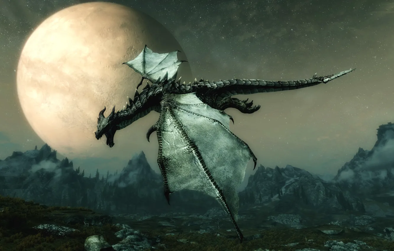 Photo wallpaper dragon, Skyrim, TES