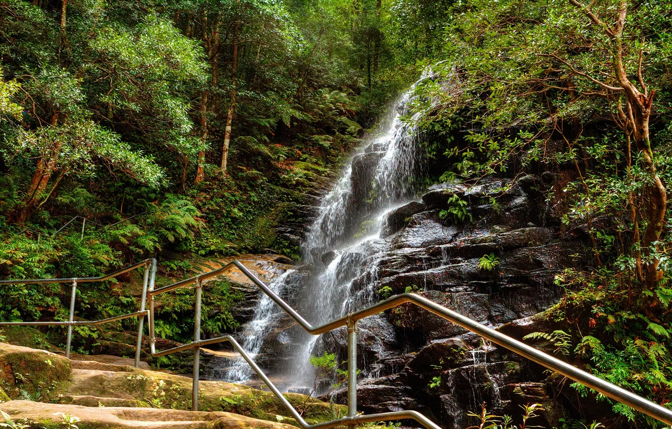 Photo wallpaper forest, trees, stones, rocks, waterfall, trail, Australia, railings