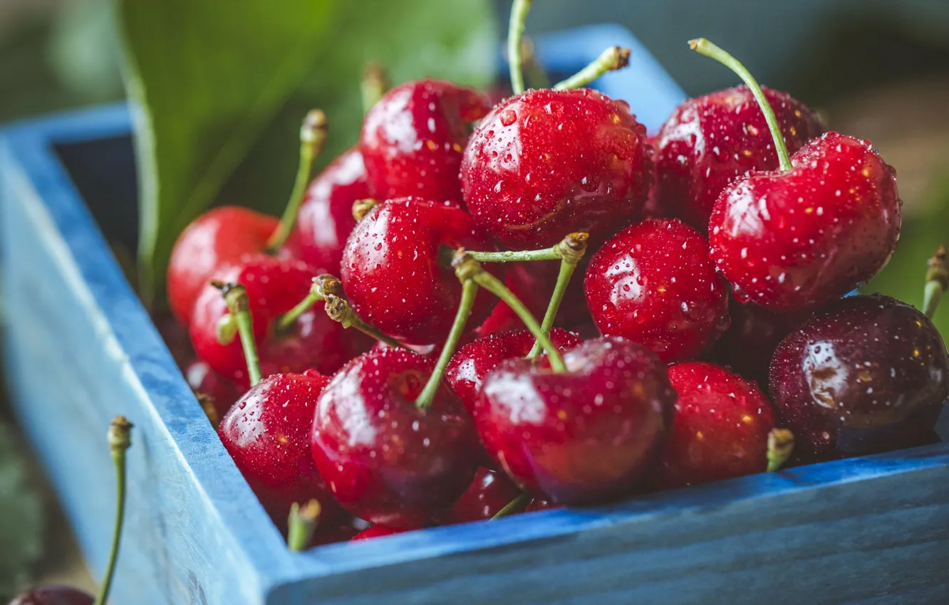 Photo wallpaper summer, drops, red, cherry, berries, leaf, harvest, box