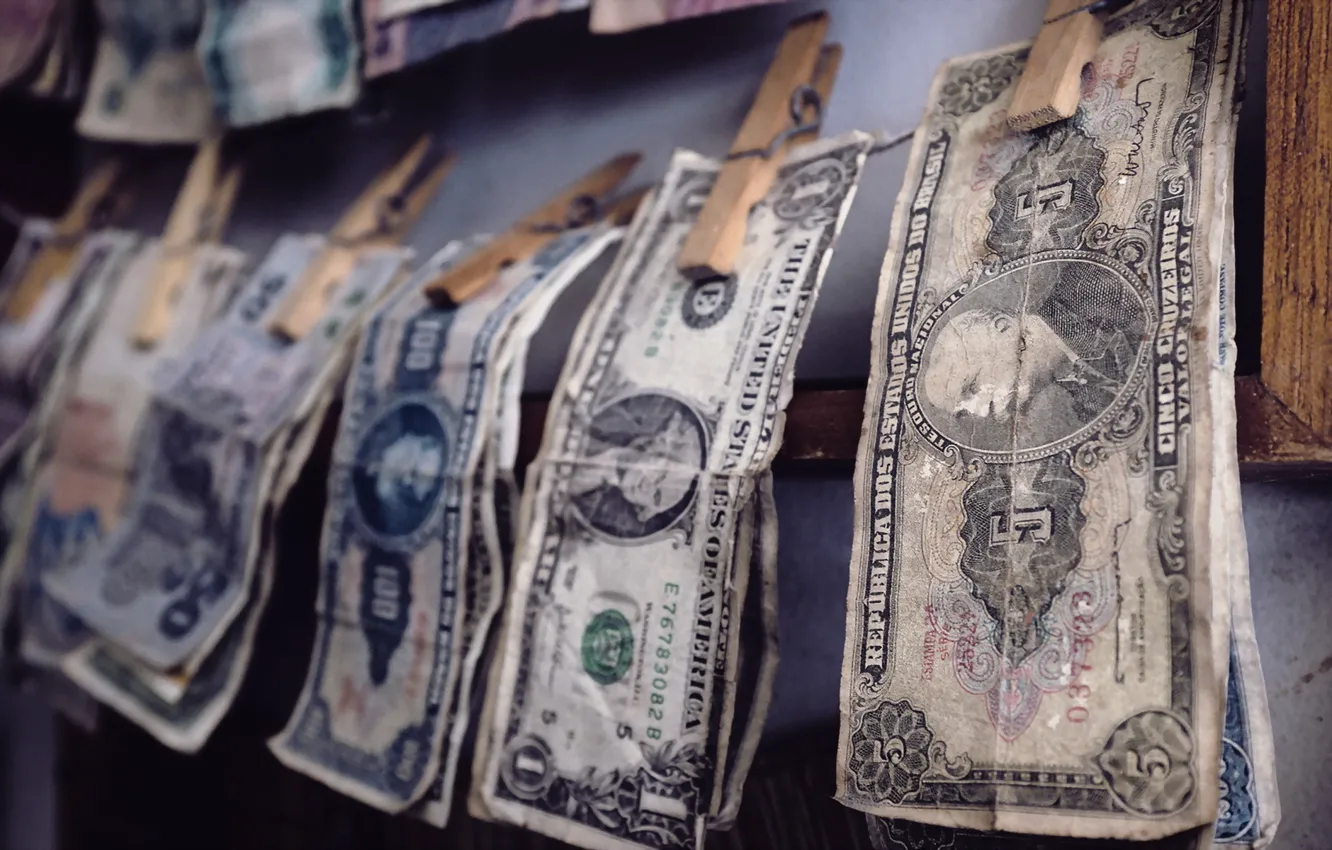 Photo wallpaper macro, background, money