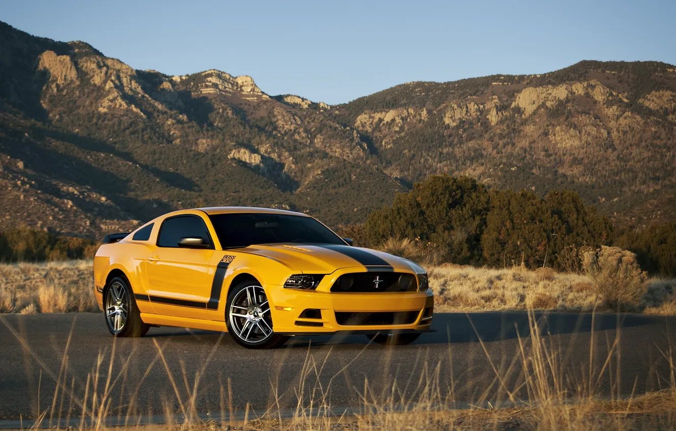 Photo wallpaper Ford, ford mustang, muscle car, rechange, boss 302