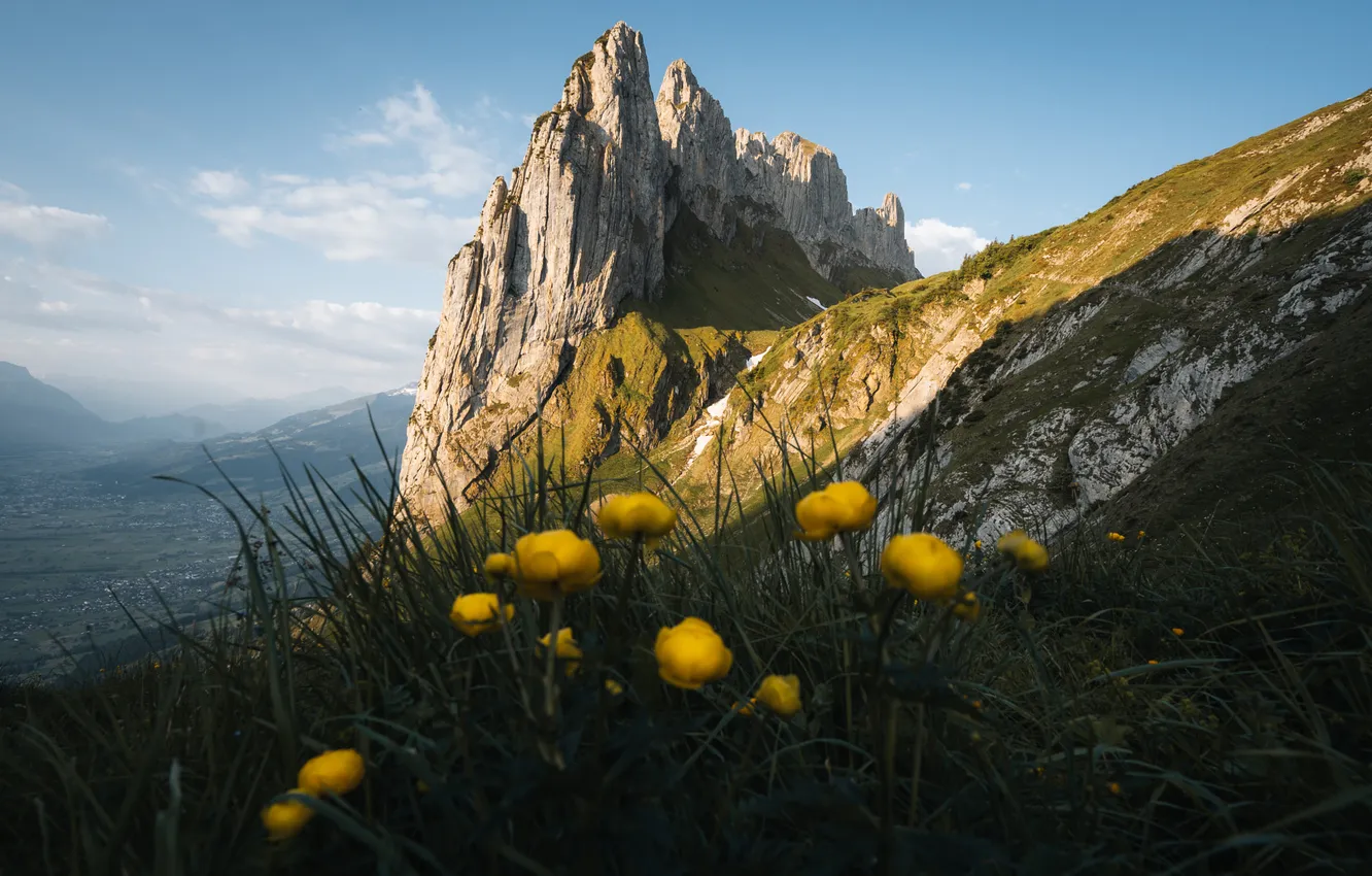 Photo wallpaper grass, clouds, light, flowers, mountains, yellow, rocks, tops