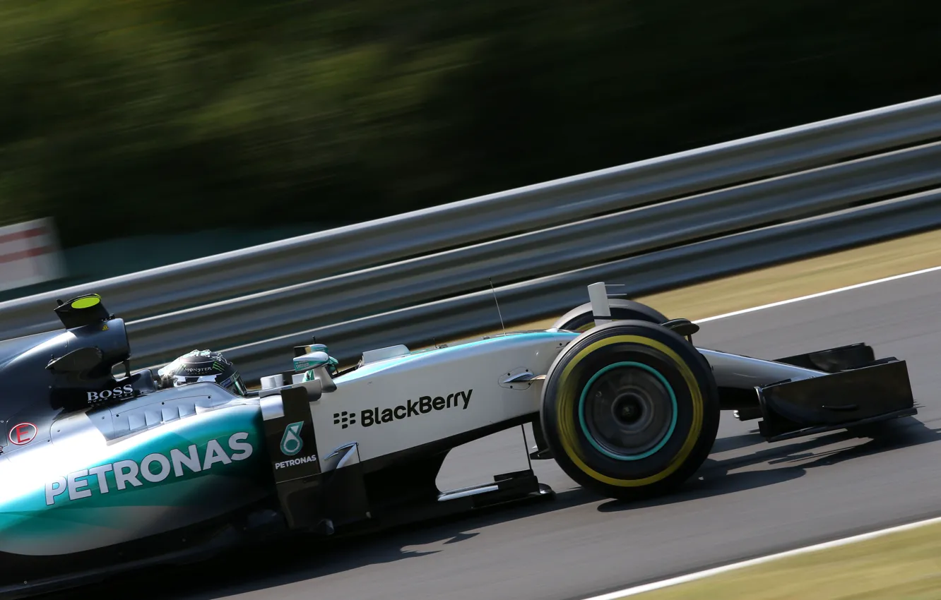Photo wallpaper profile, Mercedes, AMG, Team, Nico Rosberg, W 06