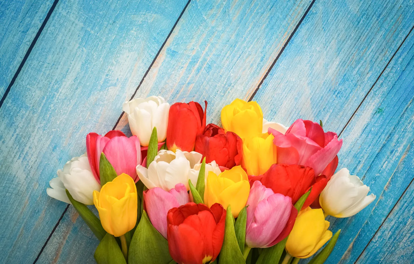 Photo wallpaper flowers, colorful, tulips, wood, flowers, tulips, spring