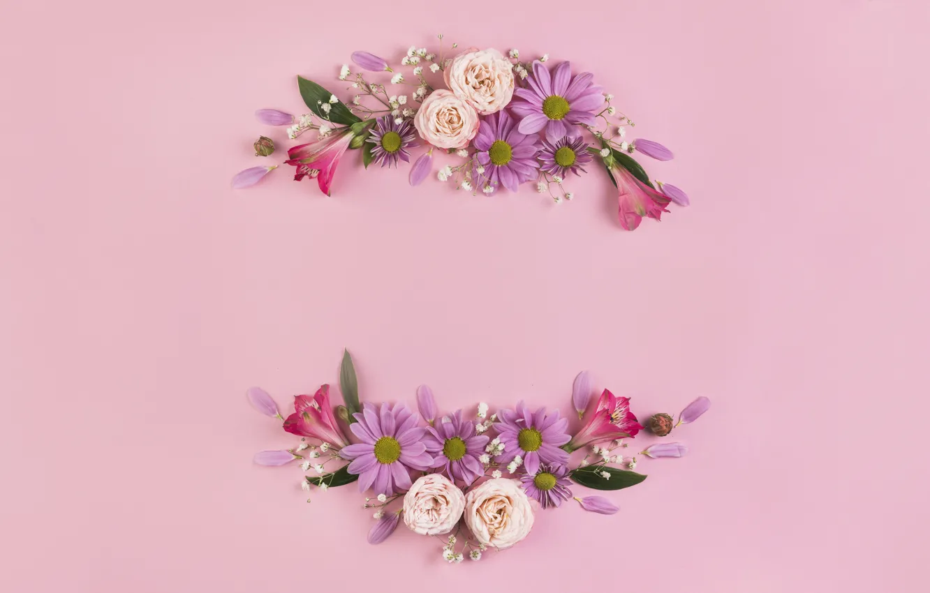 Photo wallpaper flowers, roses, petals, pink, pink background, pink, flowers, romantic