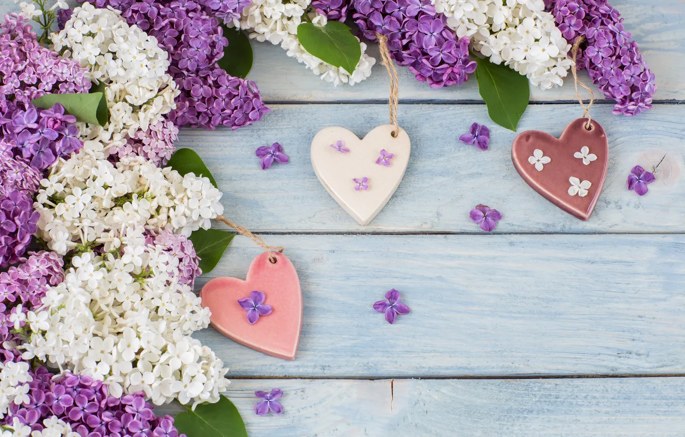 Photo wallpaper flowers, branches, heart, love, white, flowers, lilac, romantic