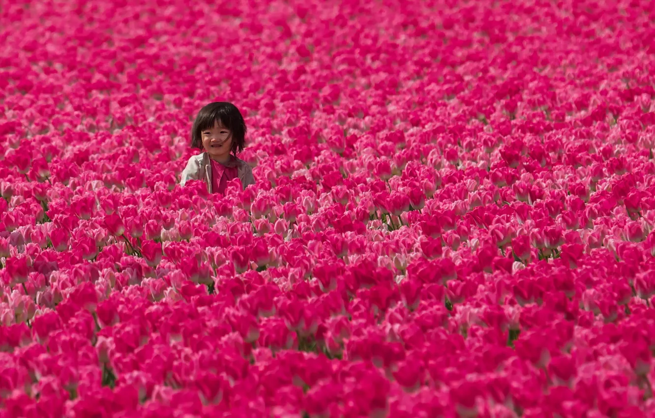 Photo wallpaper field, girl, tulips