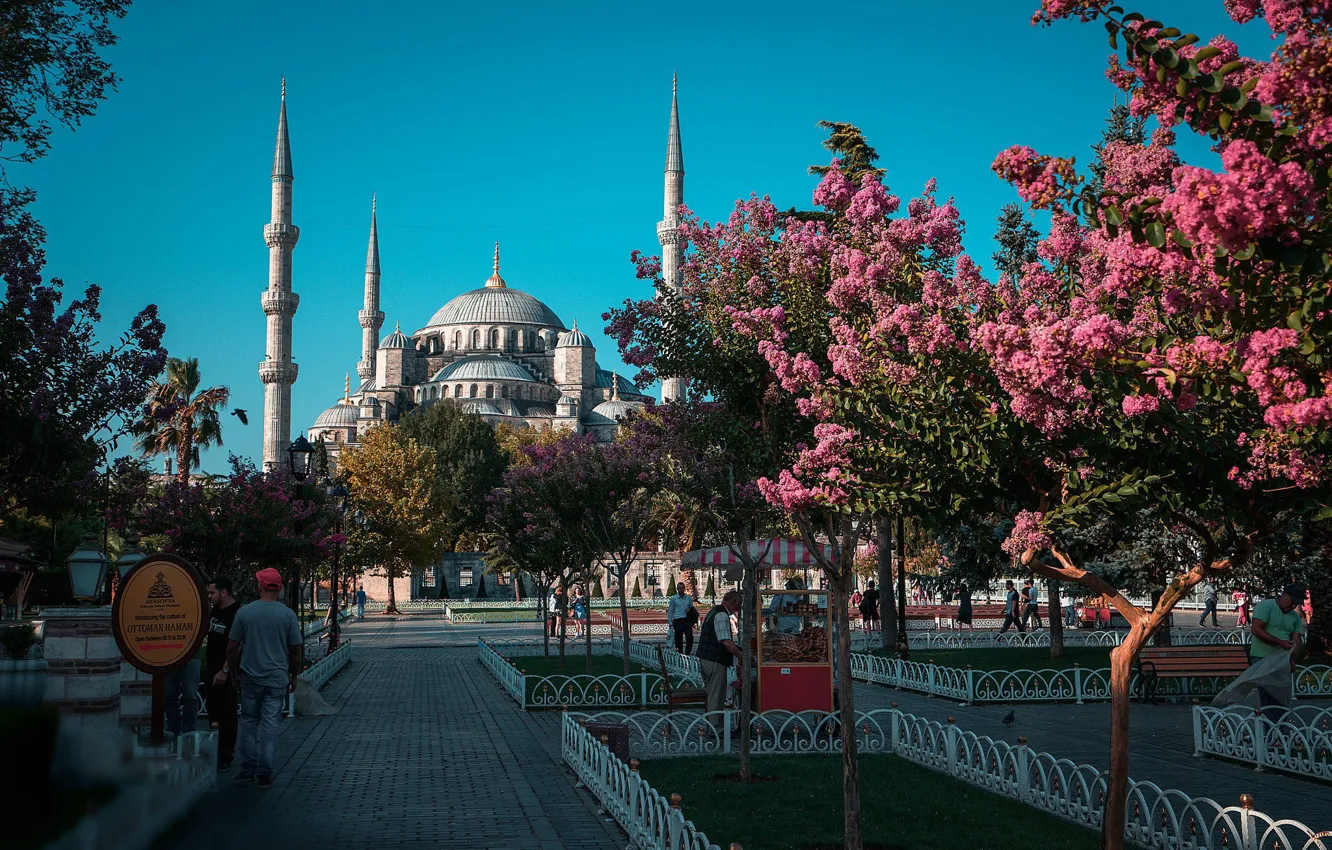 Photo wallpaper Park, Turkey, flowering trees, Daria Klepikova, Istanbul