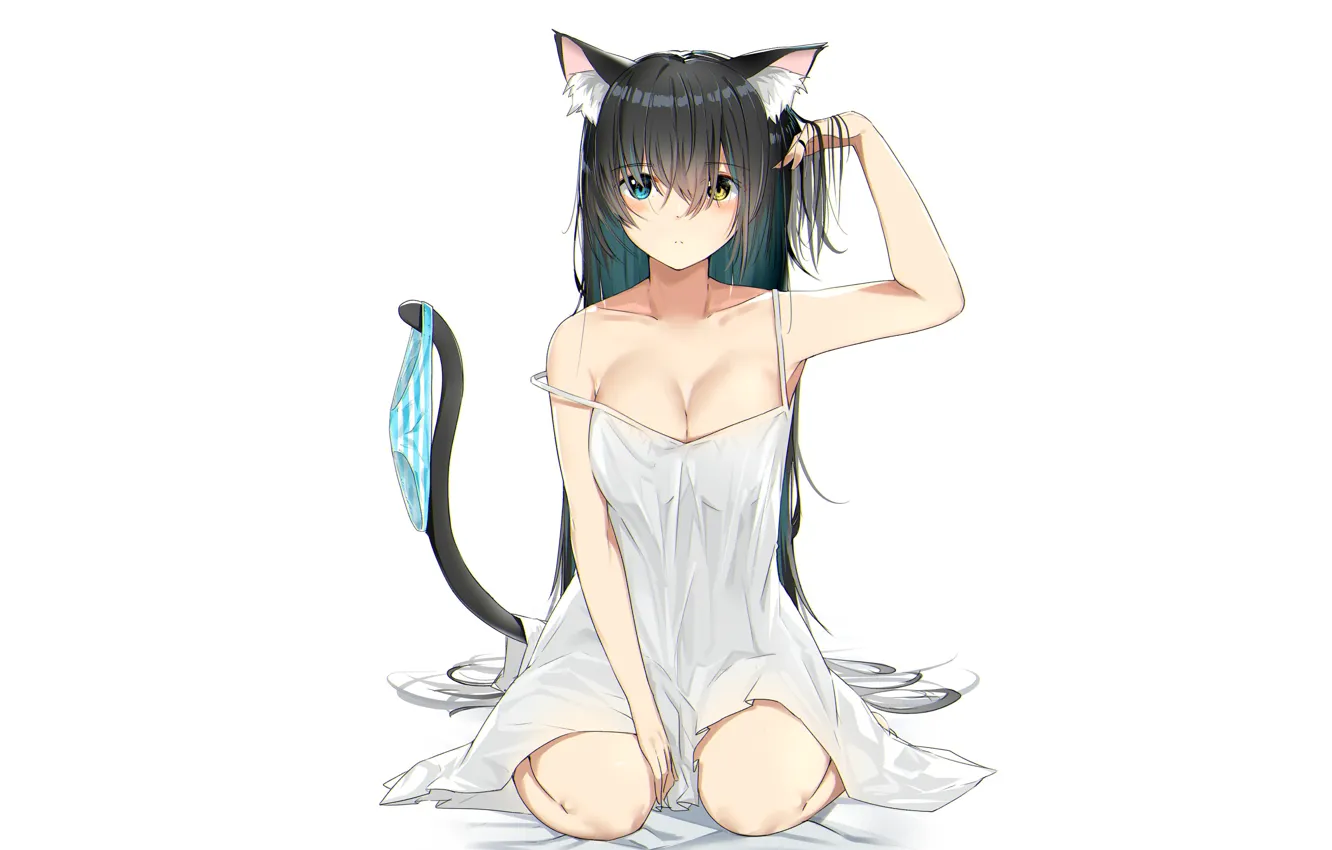 Photo wallpaper girl, background, panties, neko, kitty