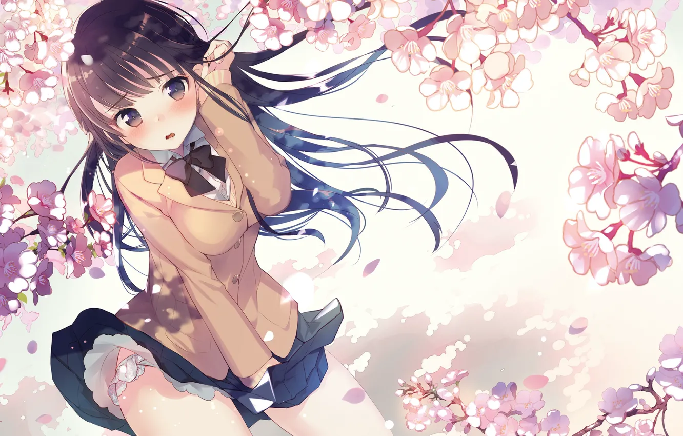 Photo wallpaper girl, flowers, anime, Sakura, art, gin (oyoyo)