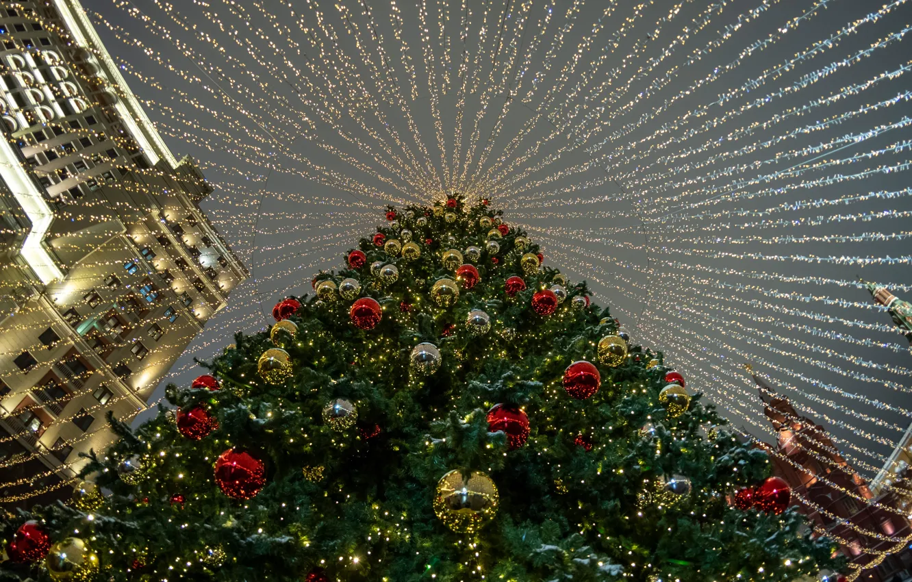 Photo wallpaper decoration, tree, new year, garland, New Year, Christmas tree, decorations, garlands