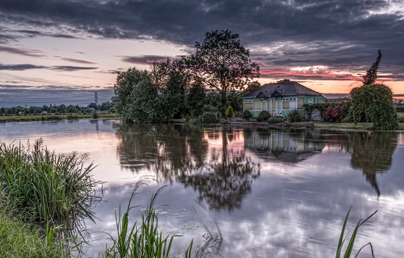 Photo wallpaper trees, lake, pond, dawn, home
