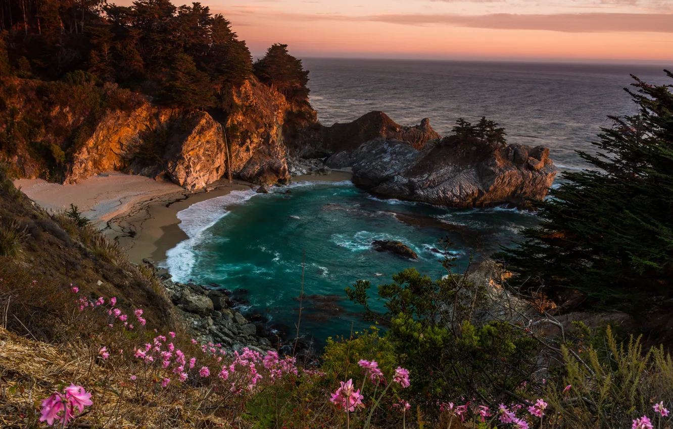 Photo wallpaper trees, landscape, sunset, flowers, nature, the ocean, rocks, coast