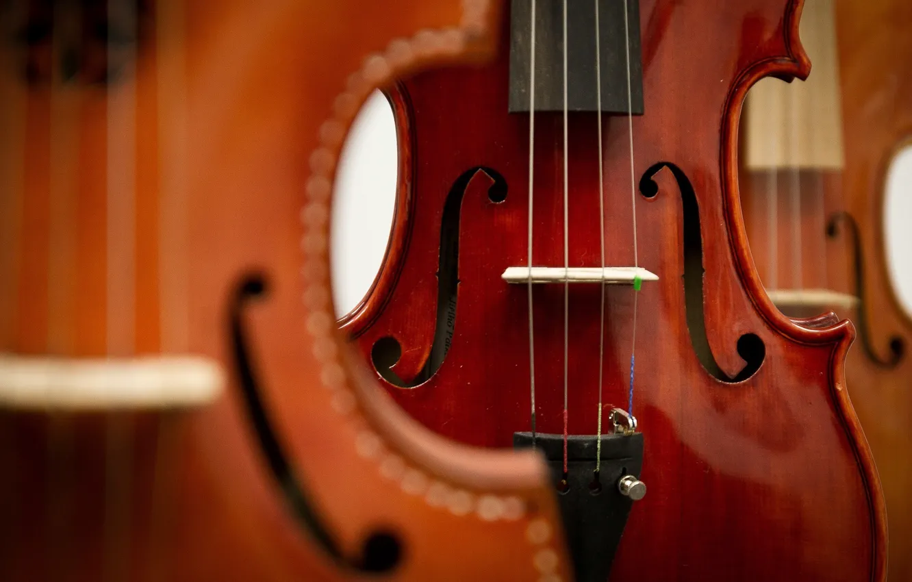 Photo wallpaper music, background, violin