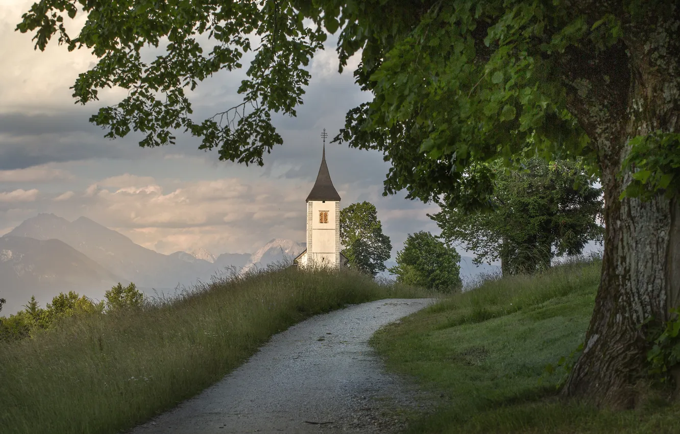 Photo wallpaper road, trees, mountains, Church