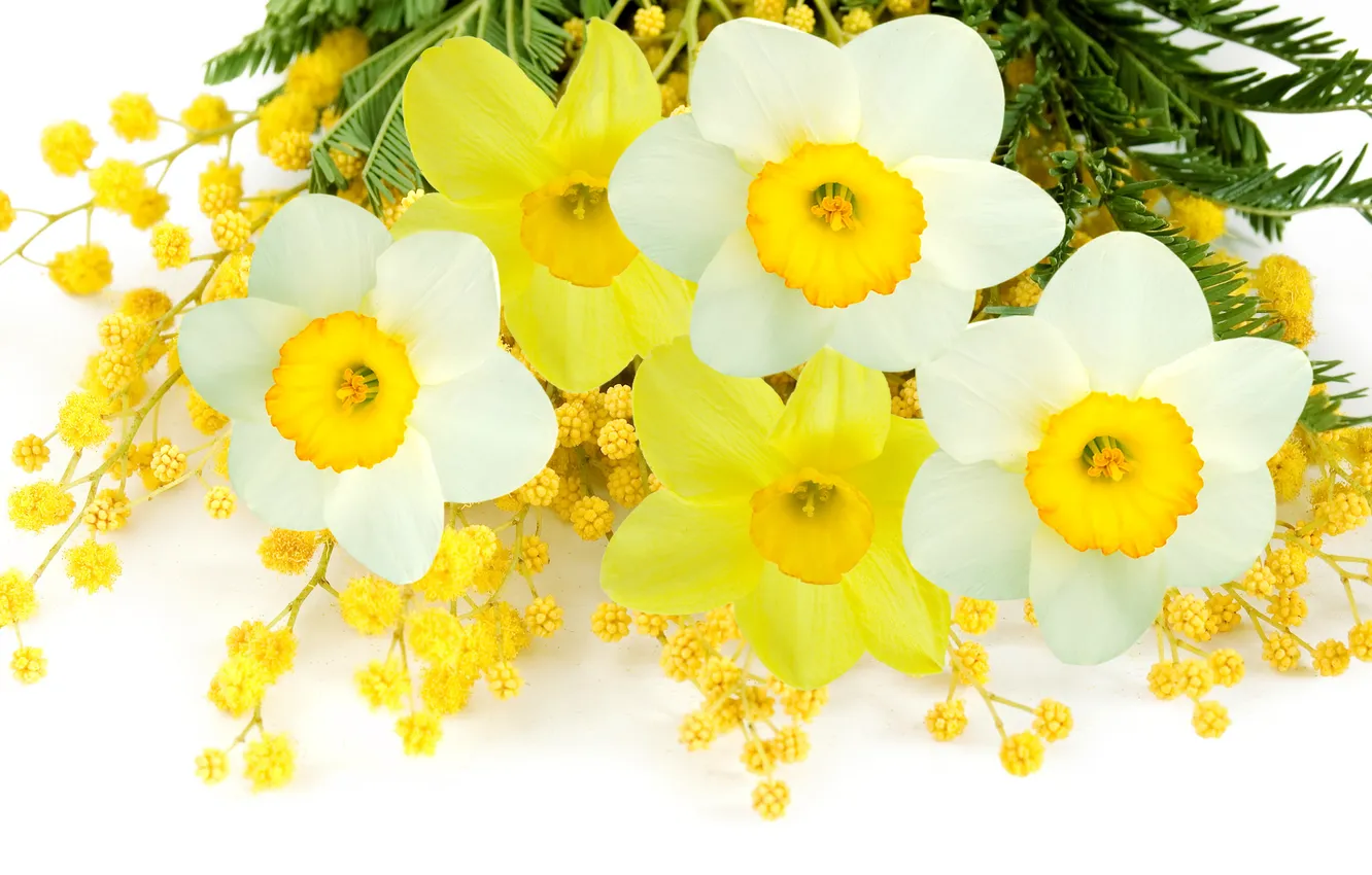 Photo wallpaper white, flowers, yellow, spring, white, yellow, flowers, daffodils