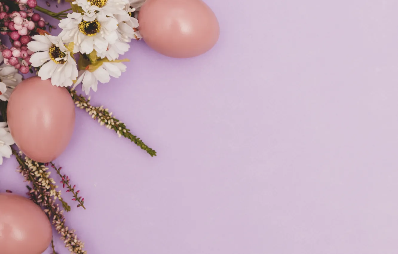 Photo wallpaper flowers, holiday, eggs, spring, Easter, chrysanthemum