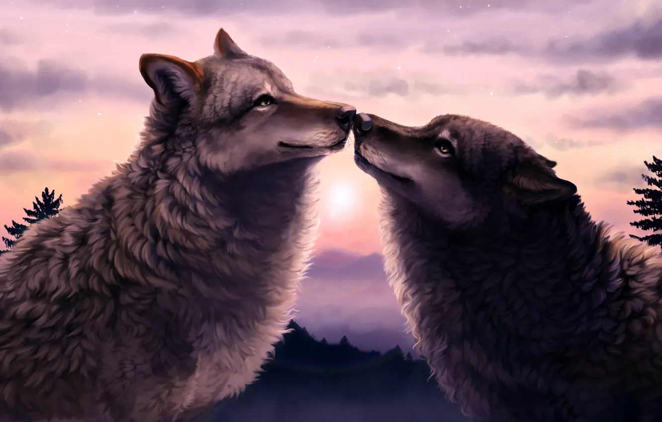 Photo wallpaper forest, sunset, two, Wolves