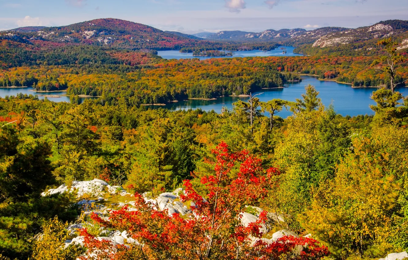 Photo wallpaper autumn, the sky, trees, mountains, lake