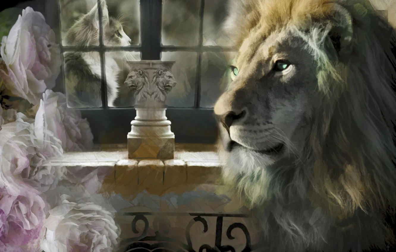 Photo wallpaper cat, collage, roses, Leo, window