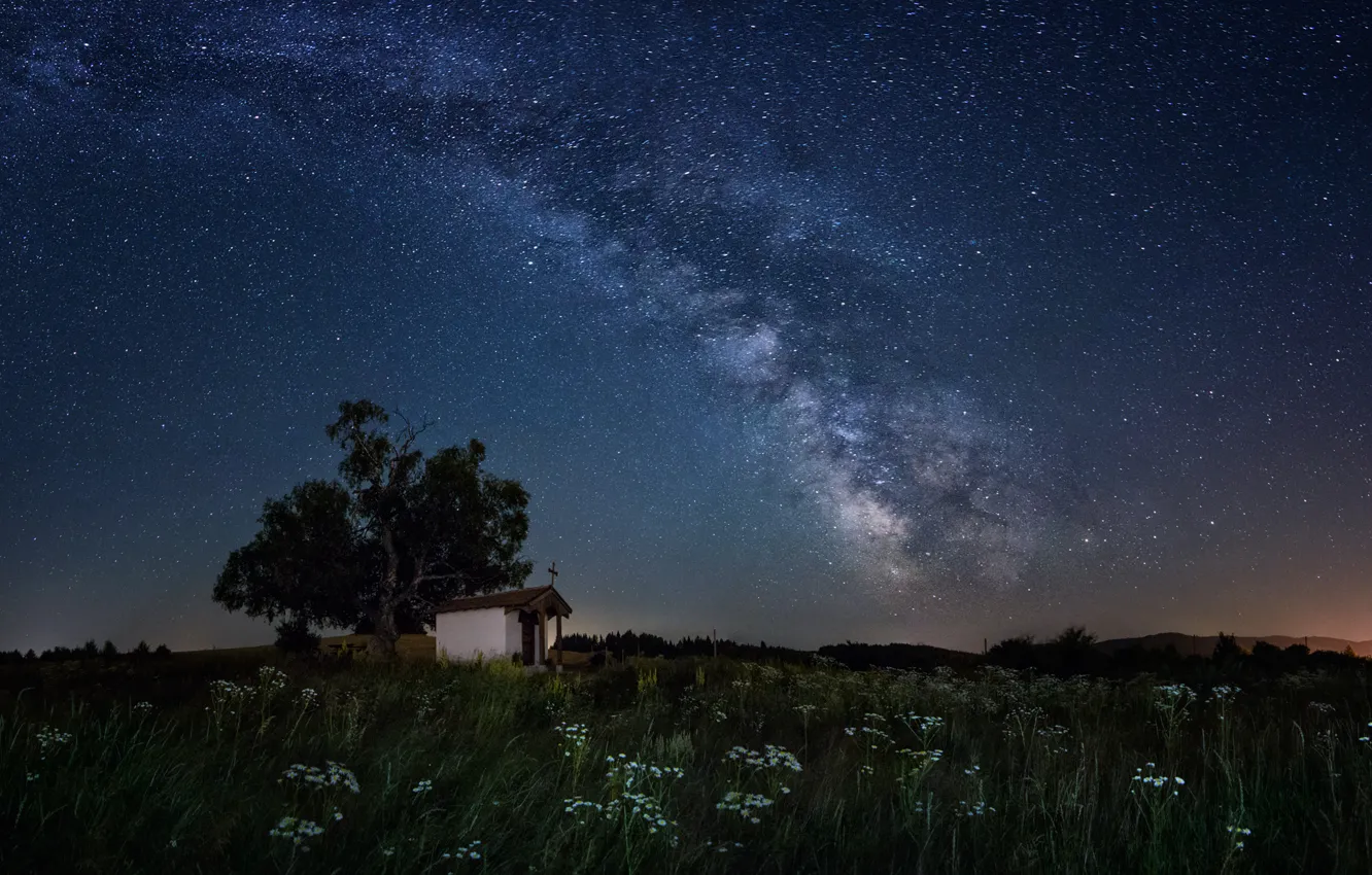 Photo wallpaper field, stars, flowers, tree, The Milky Way, Bulgaria, secrets, Plan