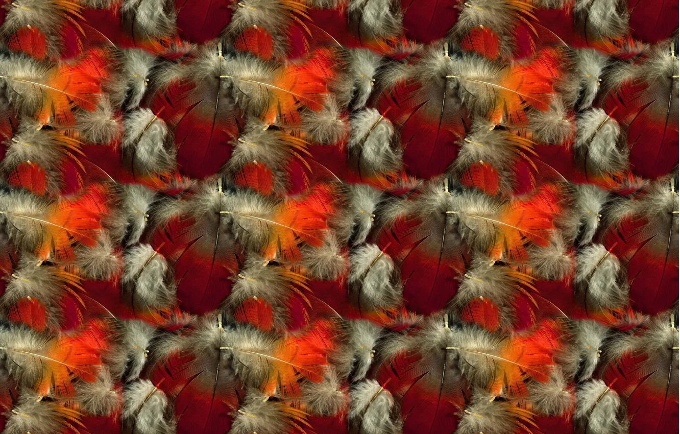 Photo wallpaper background, texture, feathers, fluff, a lot, Burgundy, raspberry